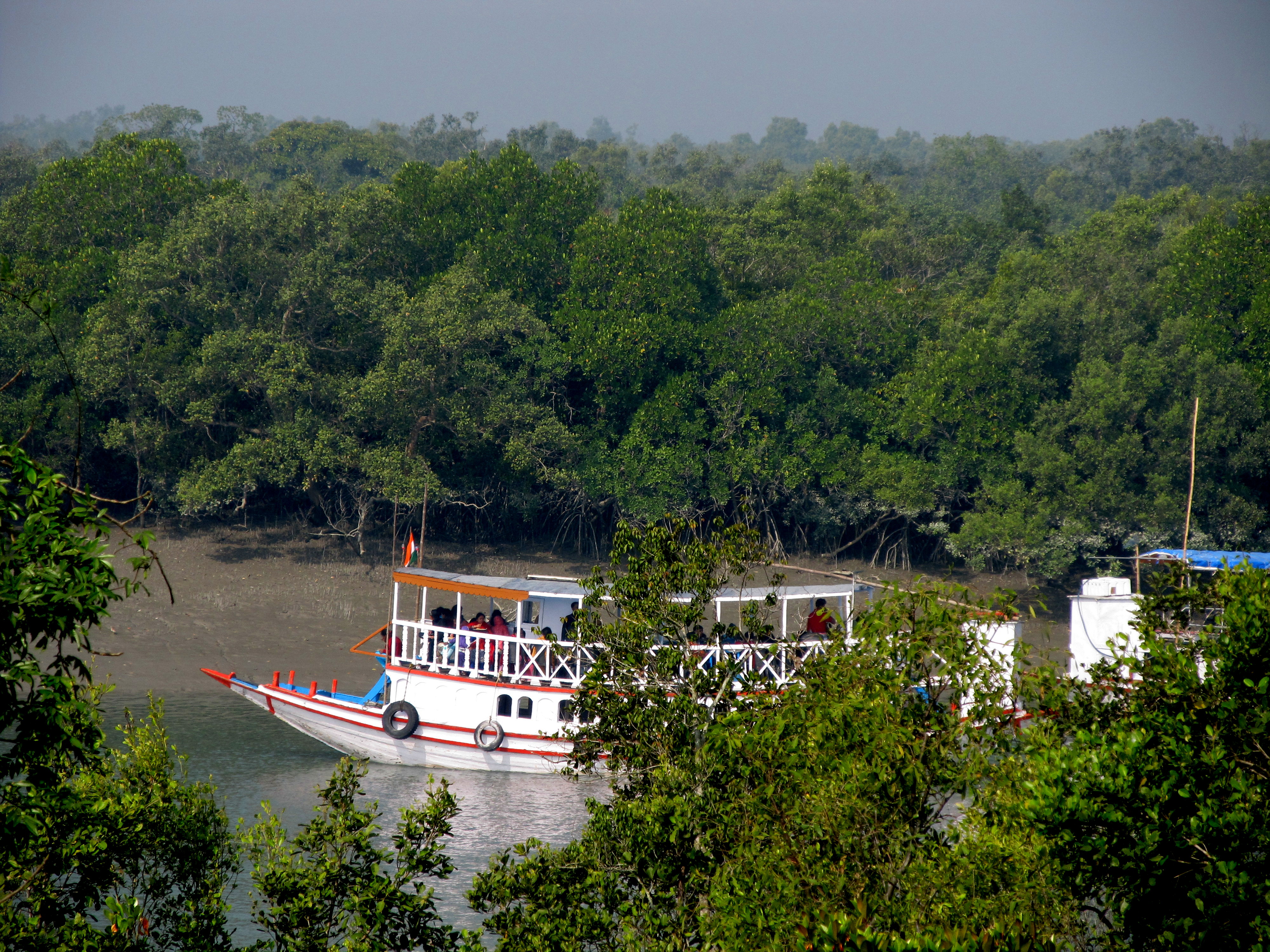 Boat Safari in Sundarbans National Park