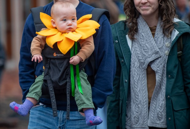 A baby dressed as a sunflower takes in the sights in downtown Salem Sunday.