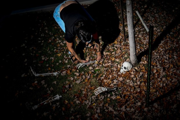 Erin Moriarty-Siler digs a leafy grave for an unnamed skeleton at her home in Denver on Wednesday, October 25, 2023. Erin received a large decorative skeleton named Fred the Dead as an anniversary gift from her husband, which she said brought her to tears. (Photo by AAron Ontiveroz/The Denver Post)