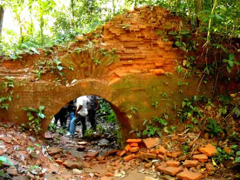 Chilapata Forest